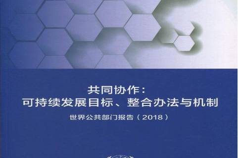 共同协作可持续发展目标,整合办法与机制:世界公共部门报告2018