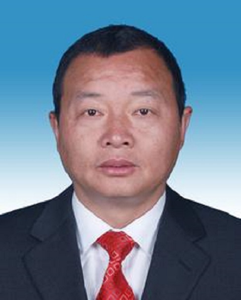 陈志强