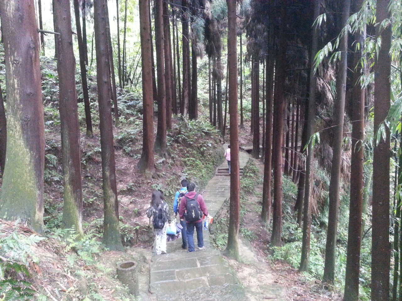 id="2434030">中国四大佛教名山 /a>之一的峨眉山中,是其著名险坡之一