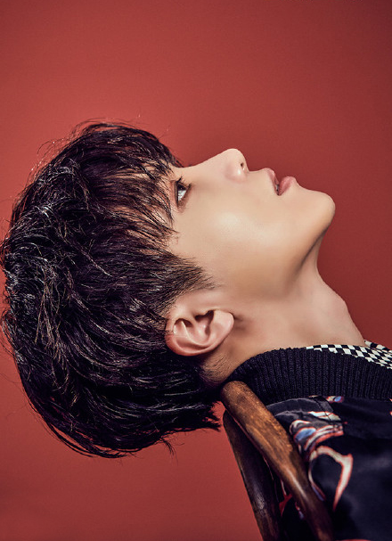  p>赵珍虎,1992年4月17日出生于韩国大田广域市,韩国男歌手,男子演唱