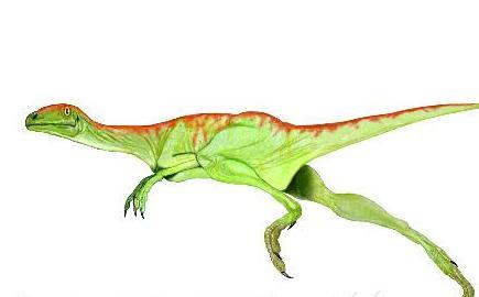 莱索托龙(lesothosaurus)