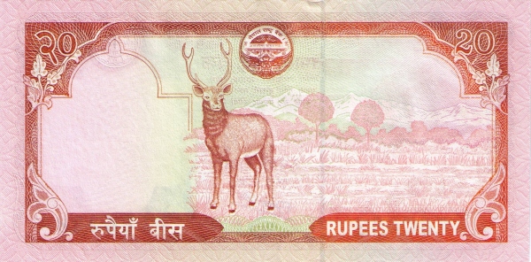  p>尼泊尔卢比,代号是 a href="#" data-lemmaid="15388728">npr /a>