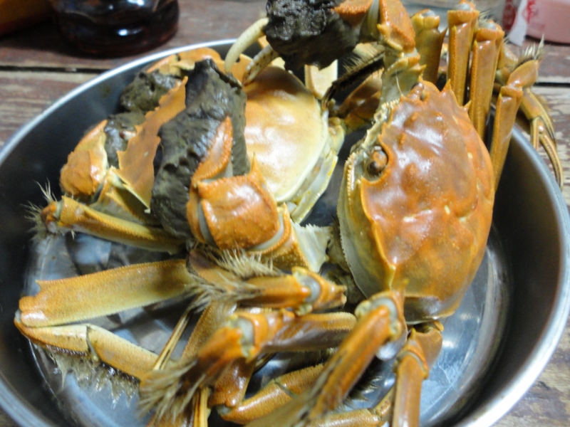 清酒蒸毛蟹