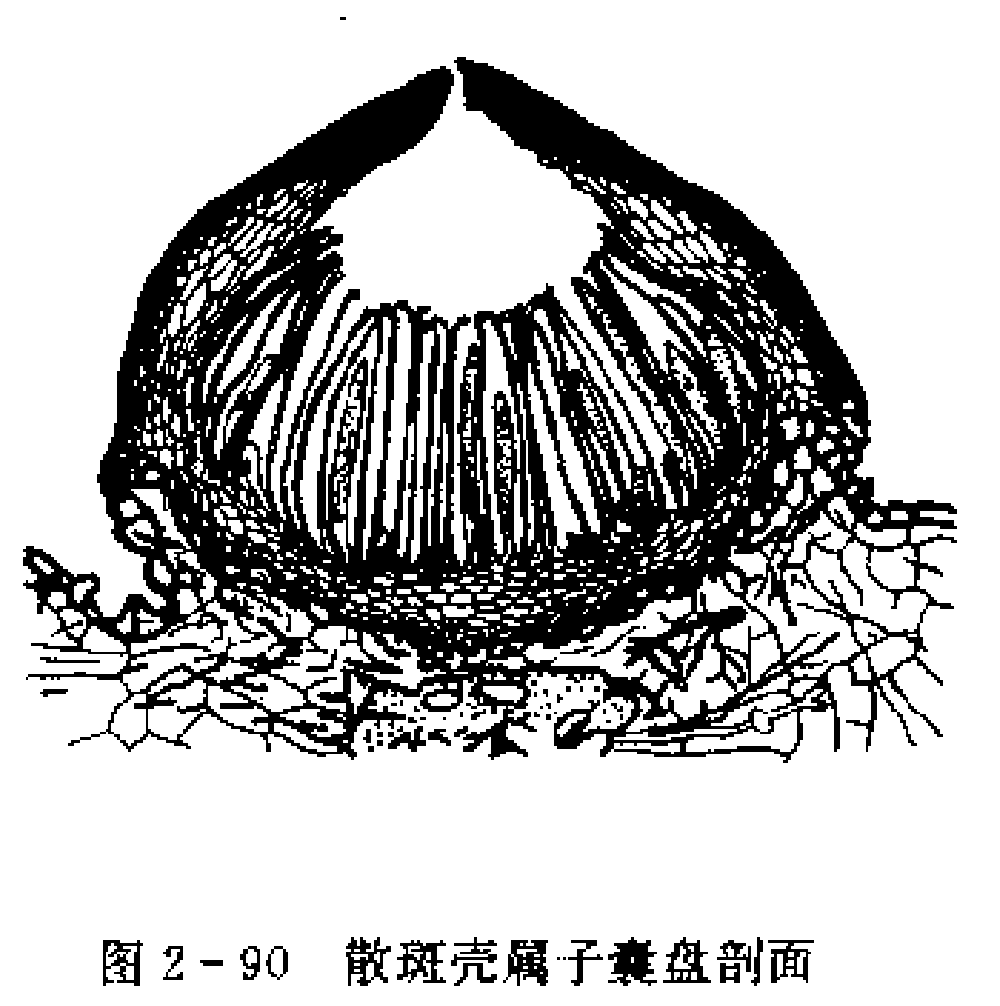 共有117属1029种植物.