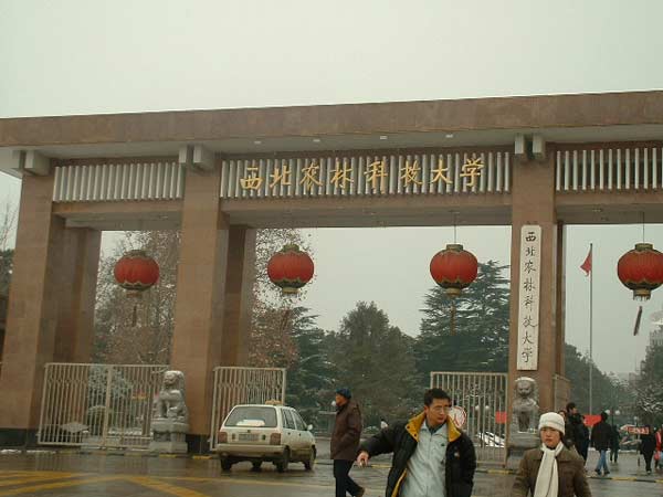  p data-id="gnbb4v7icy">西北农林科技大学国家大学科技园,位于杨凌