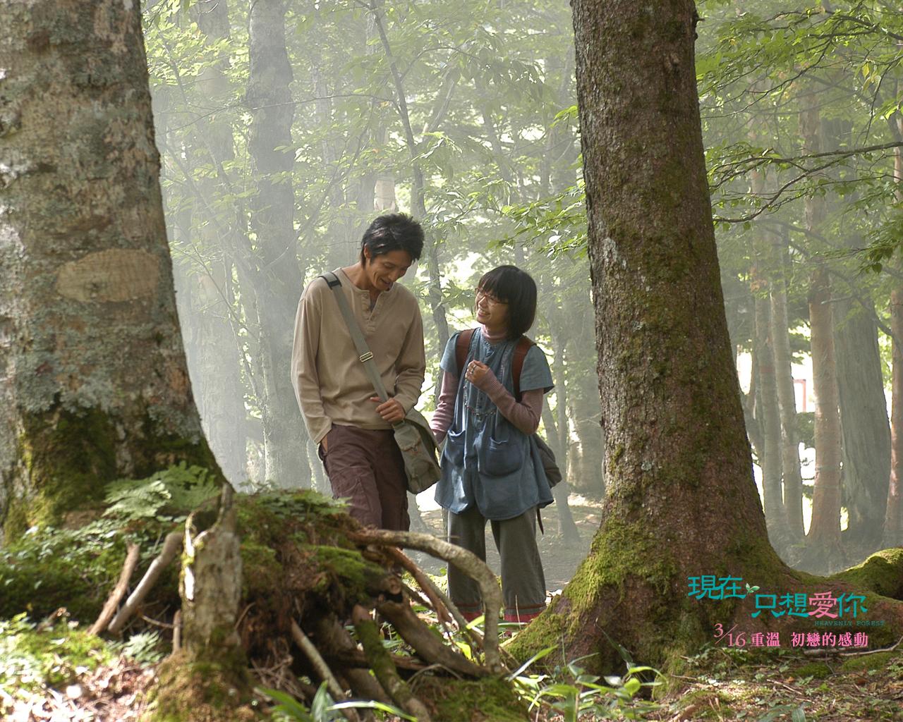  p data-id="go15qvf8fj">《只是爱着你》是由日本东映映画制作并发行