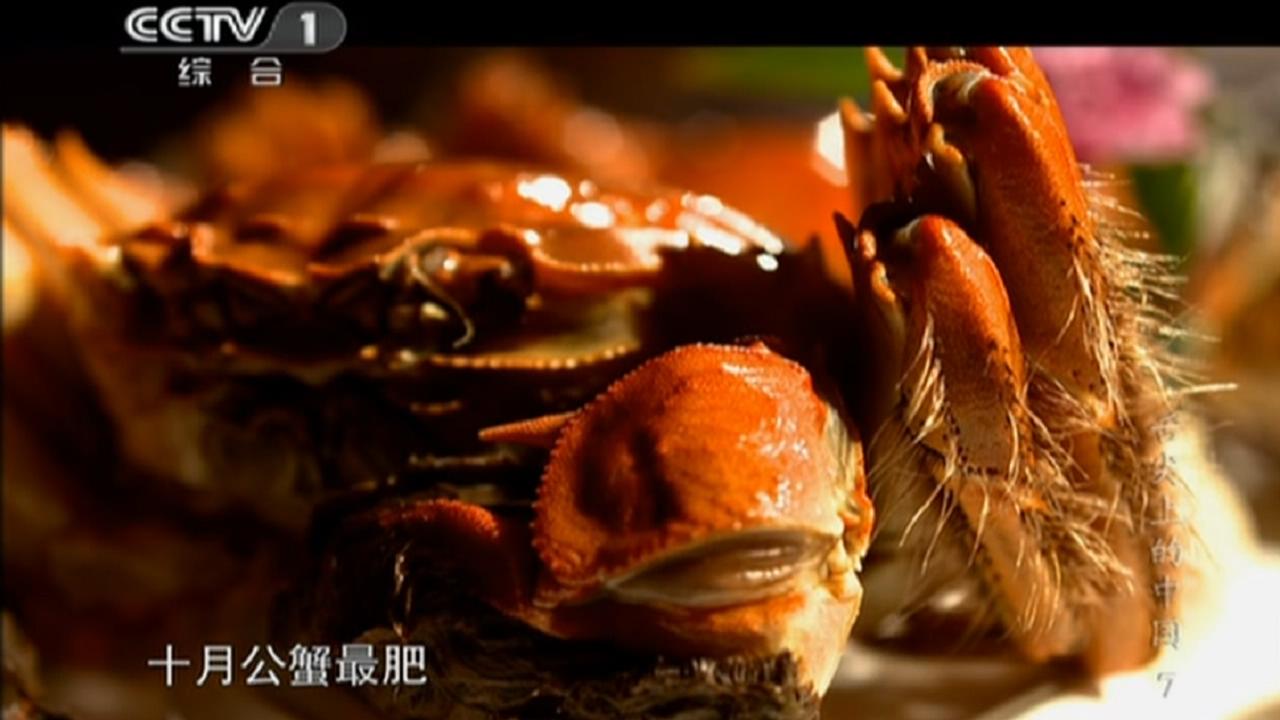 舌尖上的中国