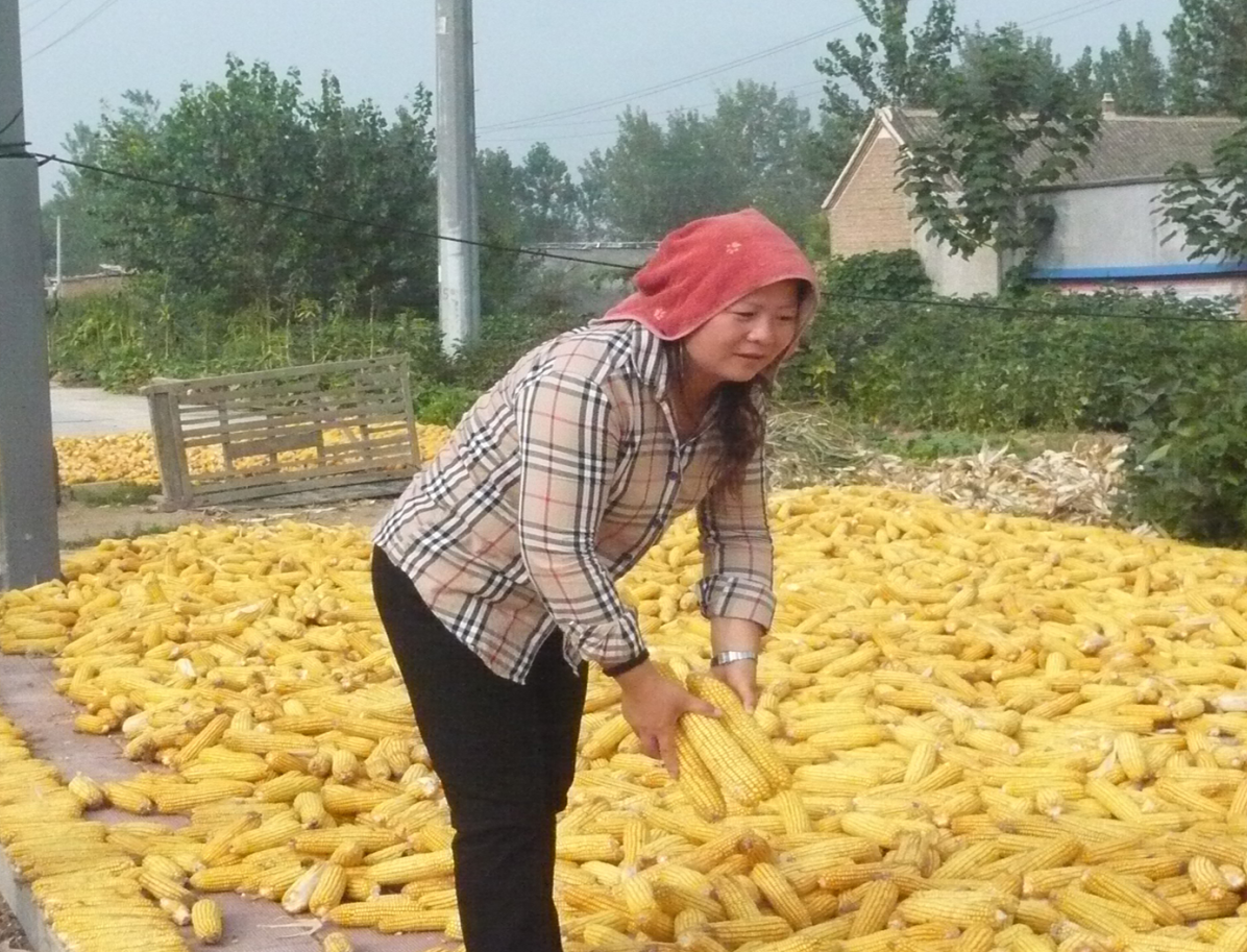  p>潘海霞(玉米姐),出生于黑龙江省 a target="_blank" href="/item