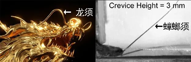 古偶剧男主为什么偏爱“龙须头”？_百科TA说