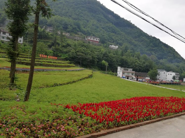  p>骡坪镇,隶属于重庆市巫山县,地处 a target="_blank" href="/item