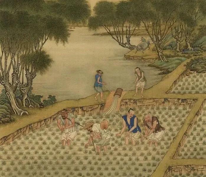 井田、名田、王田、屯田、均田，古代的土地制度是怎么发展更替_百科TA说