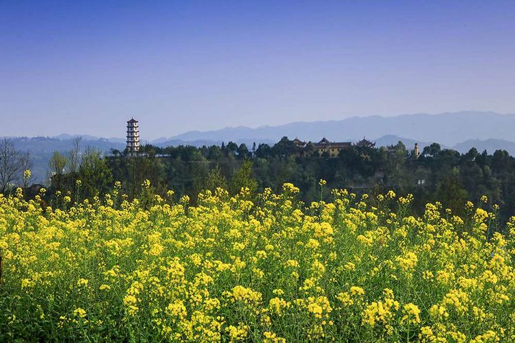 重庆长寿邻封镇