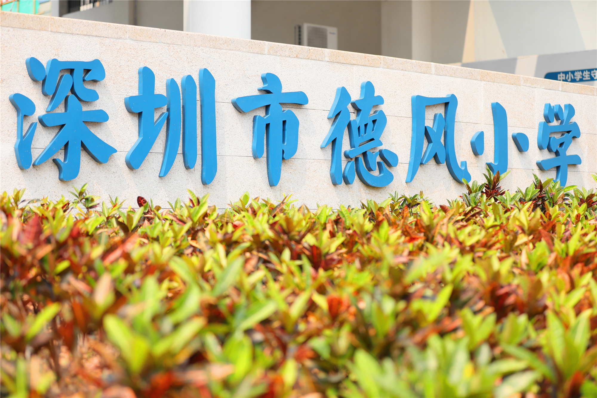 深圳市龙华区德风小学