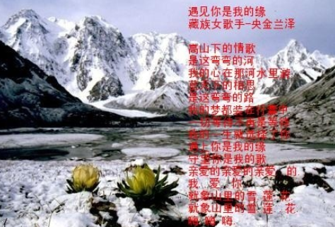 遇上你是我的缘歌曲(遇上你是我的缘歌曲表达寓意)