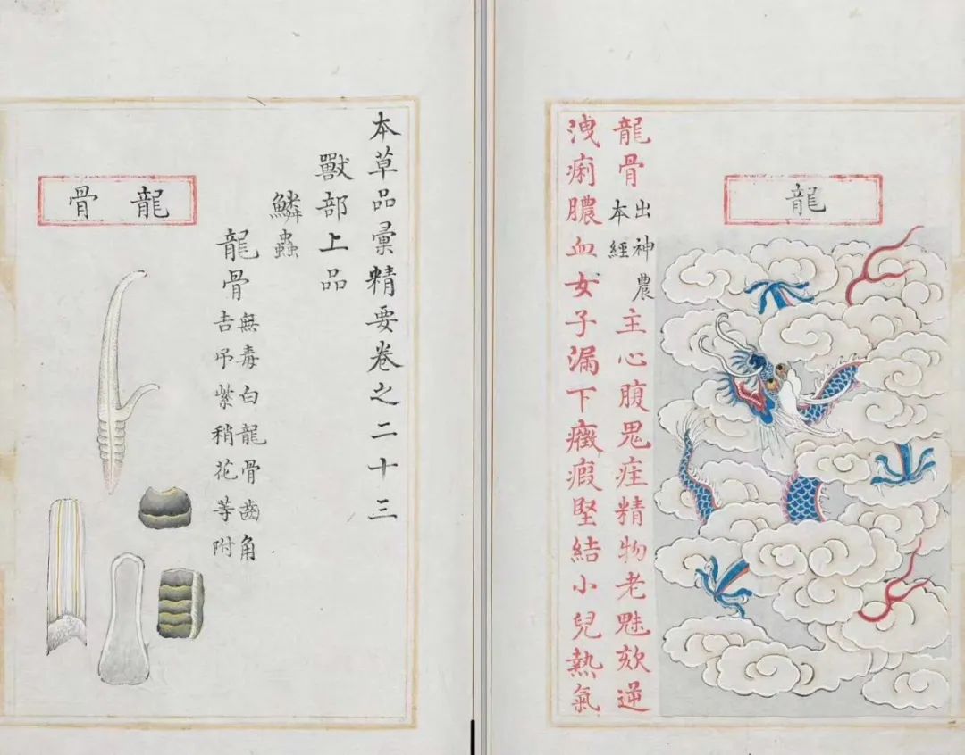 龙骨 I 恐龙化石不是龙骨_百科TA说