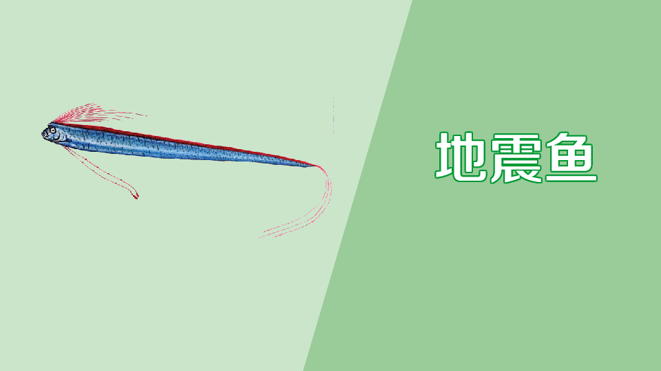 地震鱼:世界上最长的硬骨鱼