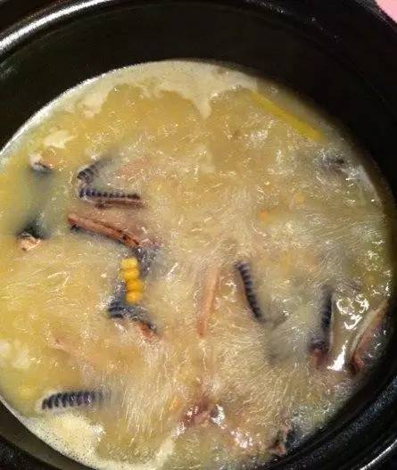 清炖蛇肉汤