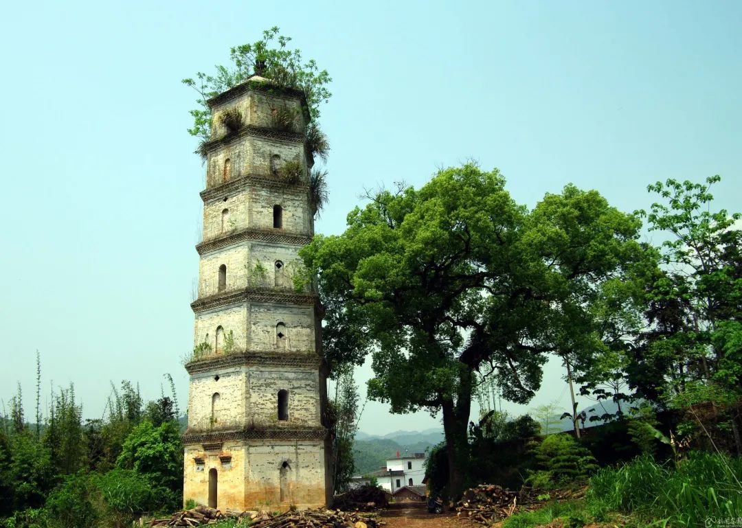 水口村,隶属于广东省韶关市仁化县<a