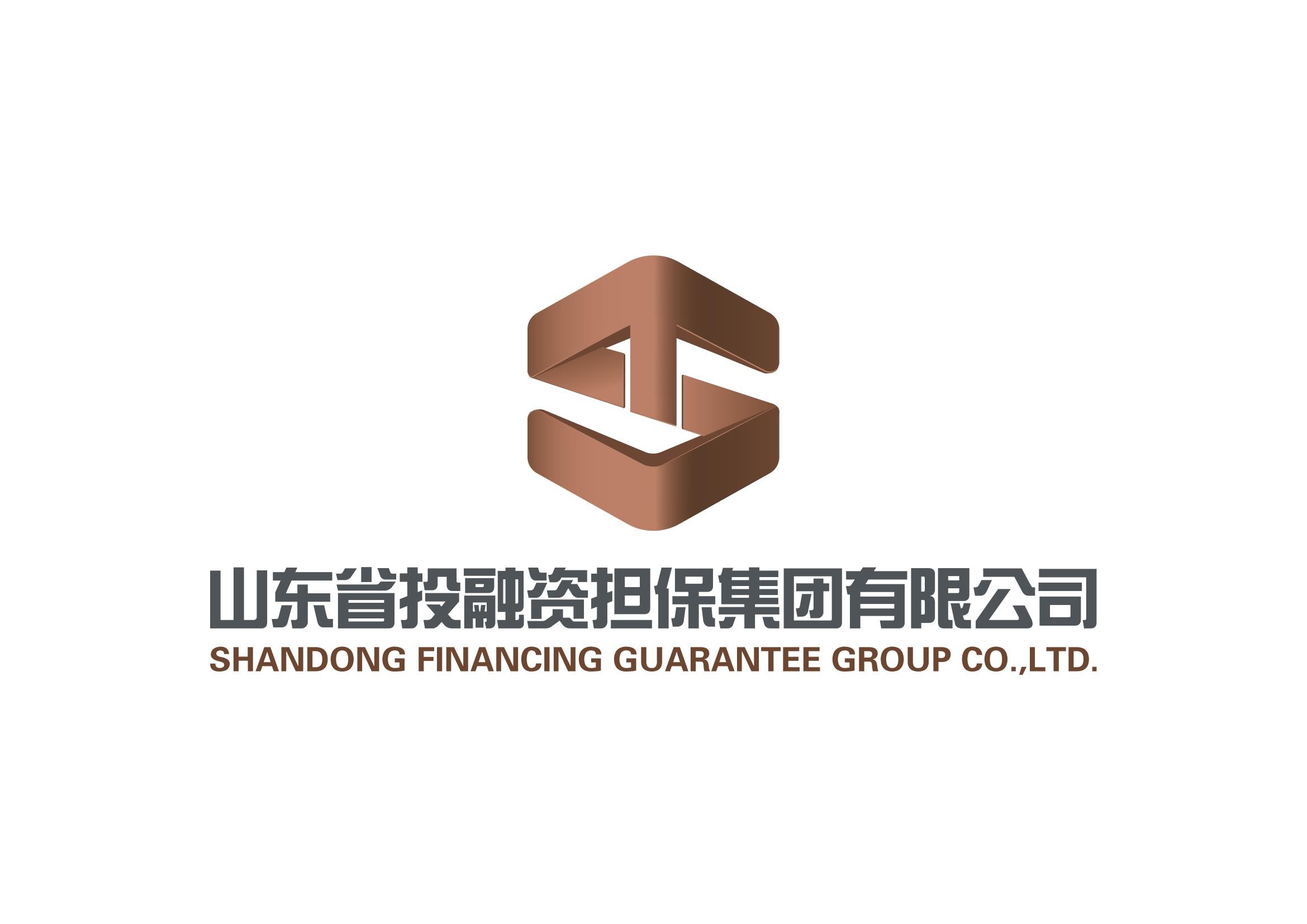 山东省投融资担保集团有限公司