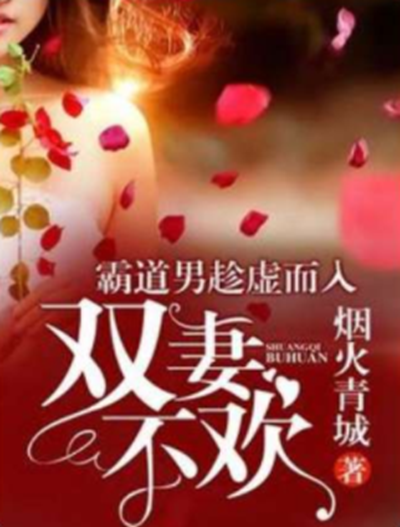 霸道男趁虚而入：双妻不欢_百度百科