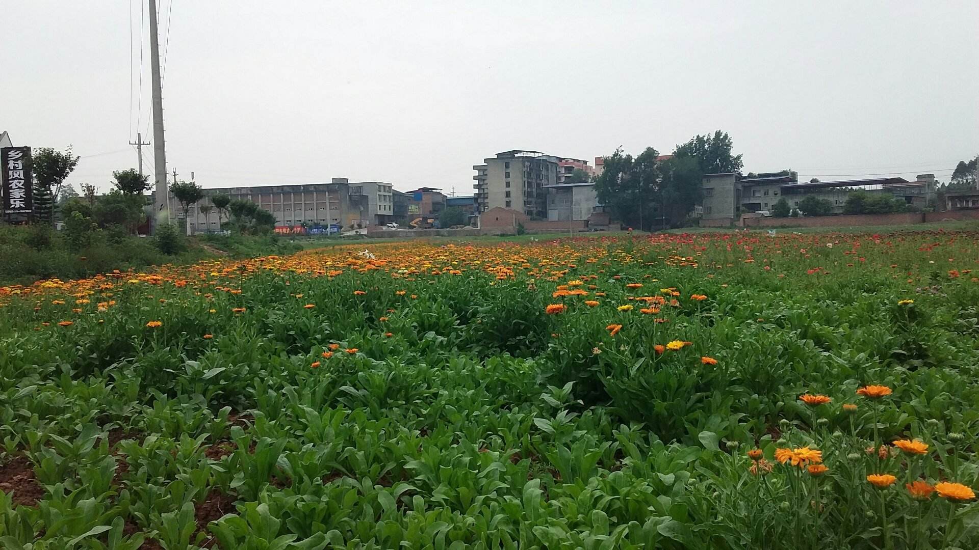  p data-id="gnzdnbaucj">曲江镇(已撤销),隶属于四川省眉山市仁寿县