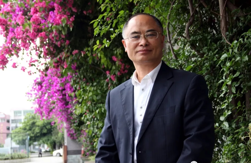 岳家军,四川省眉山市东坡区苏祠初级中学