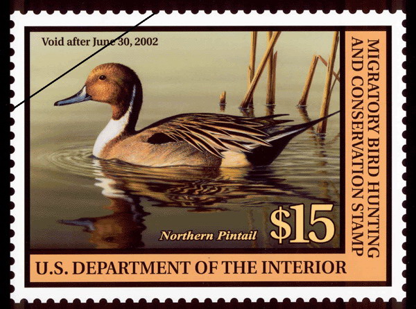  p>美国鸭票(the federal duck stamp):美国联邦的 a href="#" data
