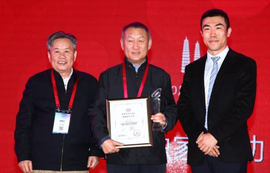 中国计算机学会王选奖_百度百科