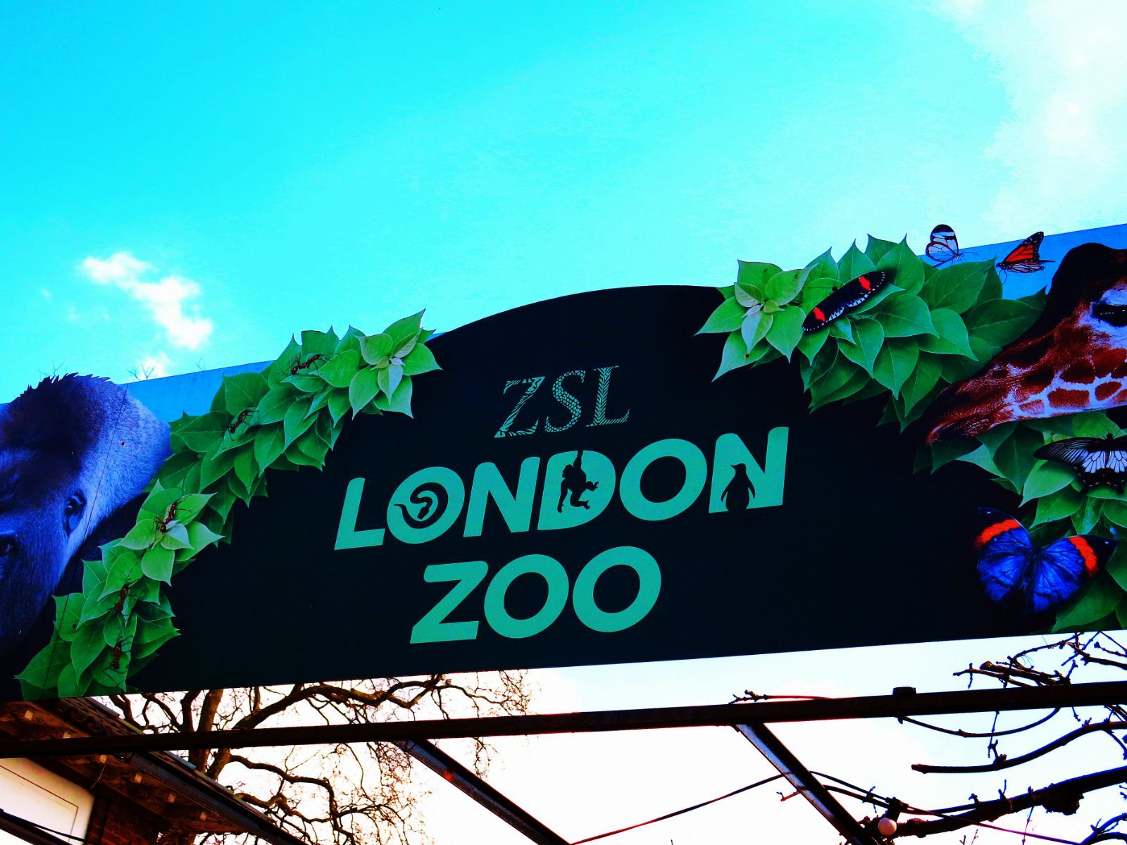  p>伦敦动物园为世界上最古老的动物园之一.