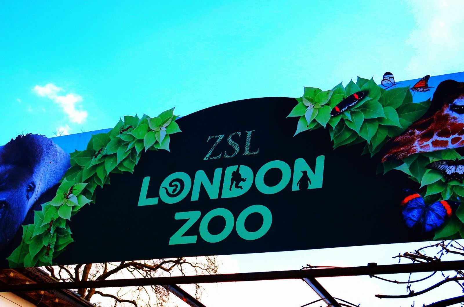 london zoo