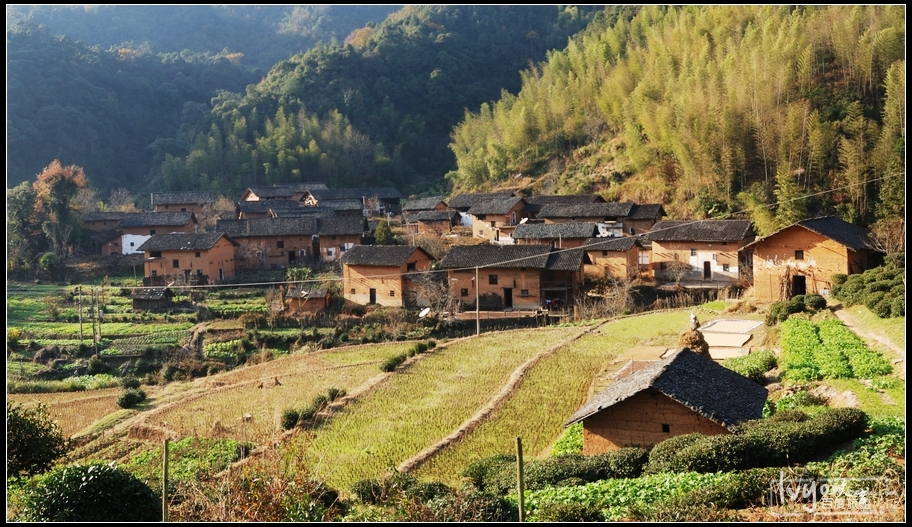 曹家村