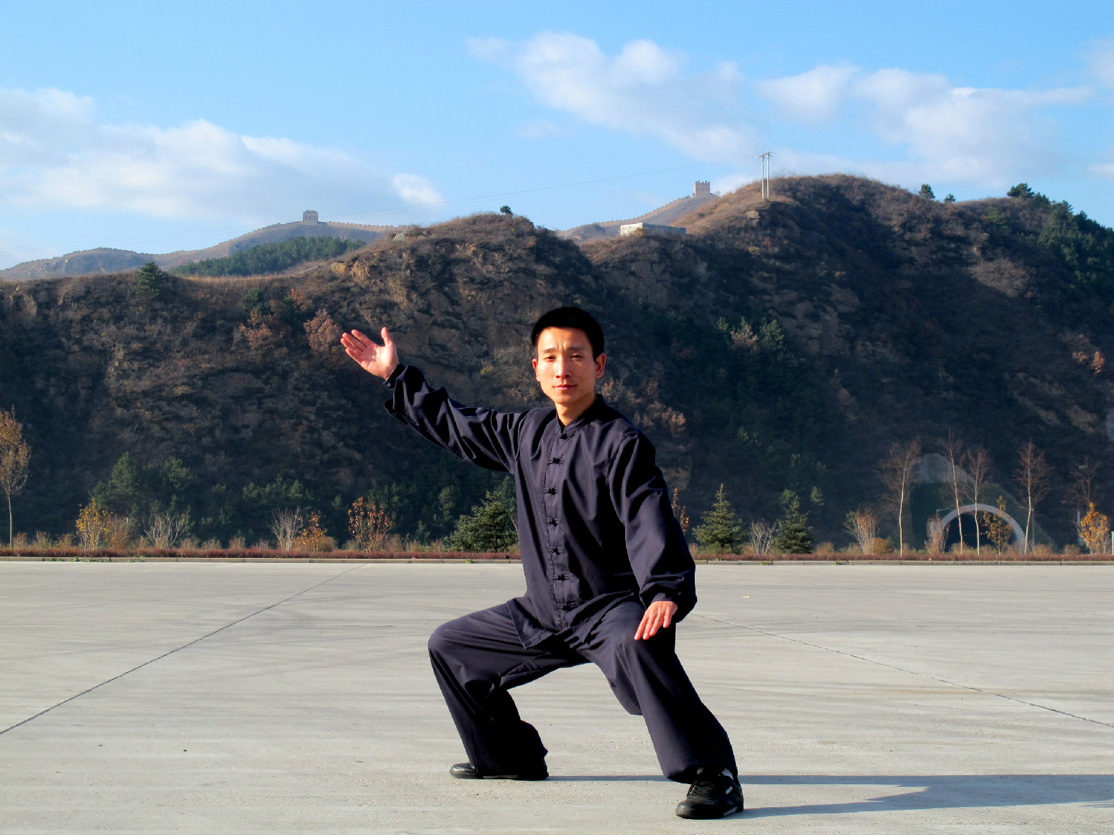  p data-id="gnbt2d16cx">野马分鬃是武术运动中的拳掌类基础动作.