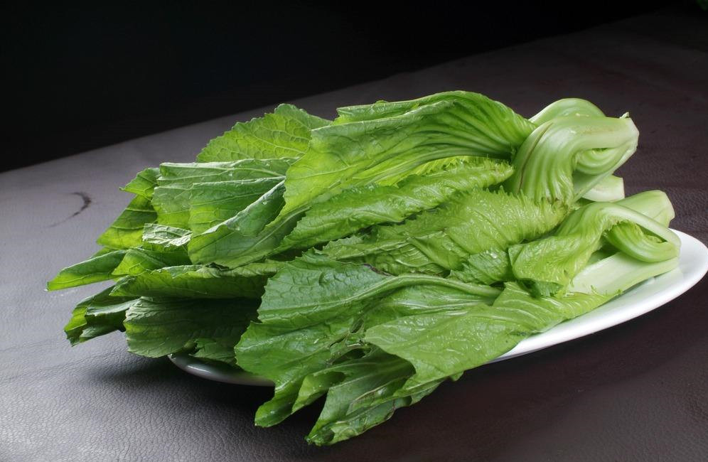  p>芥菜(学名: i>brassica juncea /i>   (l.) czern. et coss.