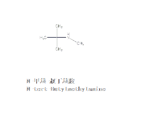 n-甲基-叔丁基胺