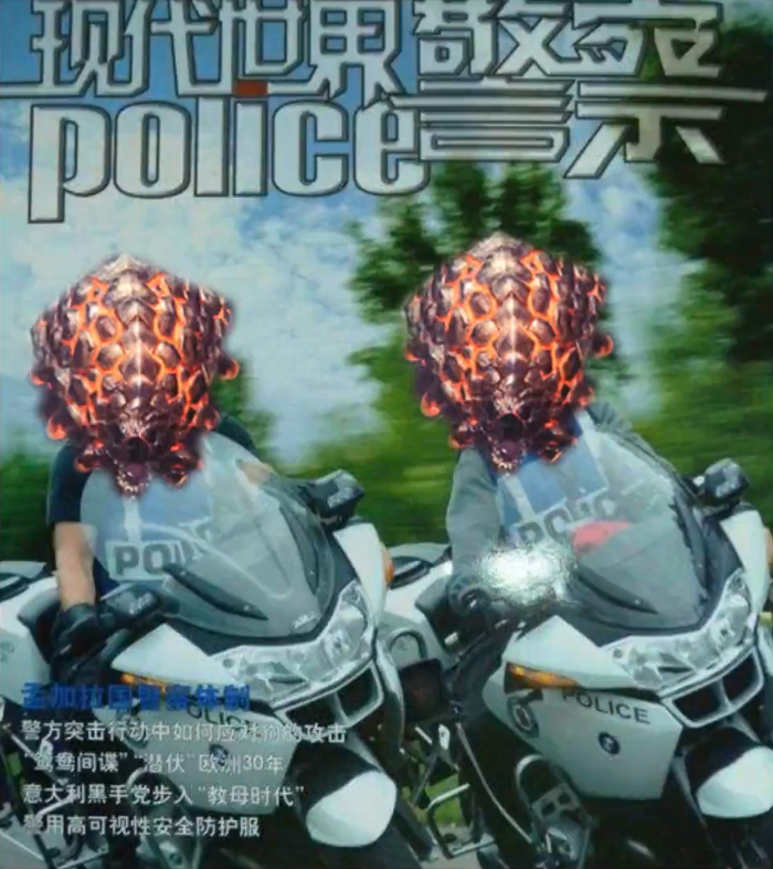  p data-id="gnyws22ona">爆鳞龙——巴杰尔哥