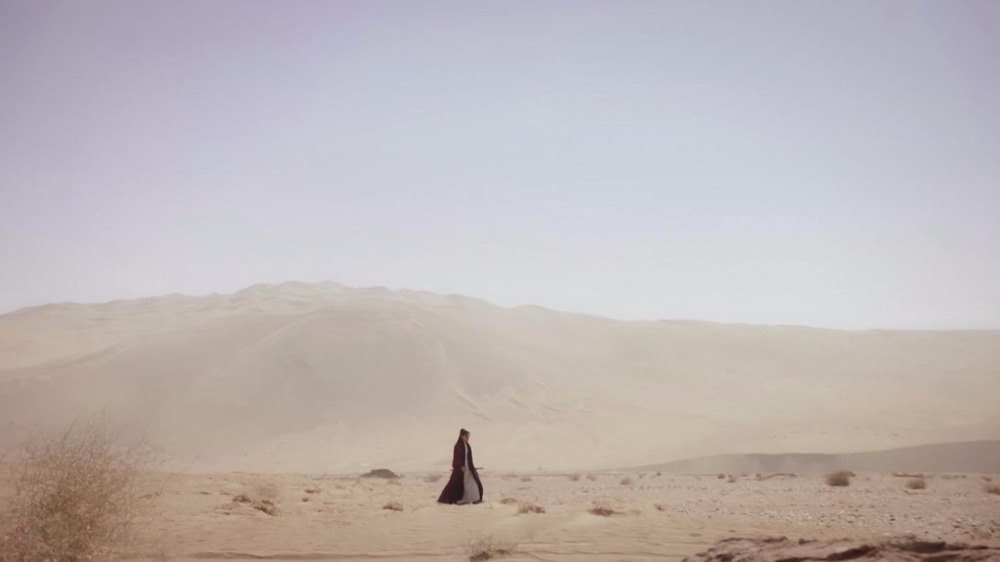 20488">电视剧 /a>《 a target="_blank" href="/item/东宫/17523882"