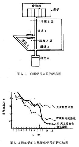  p>符号学习理论认为学习是对情境所形成的完整认知地图中符号与符号