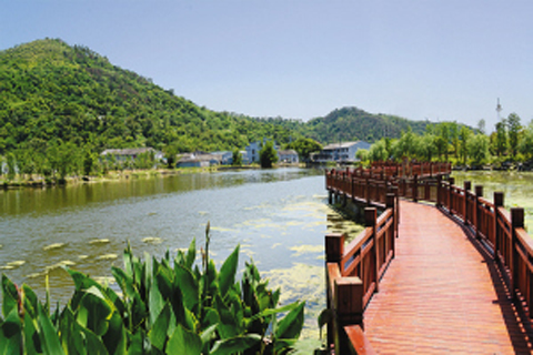  p data-id="go06kql9q8">鳌江镇,隶属于中国浙江省温州市平阳县, a