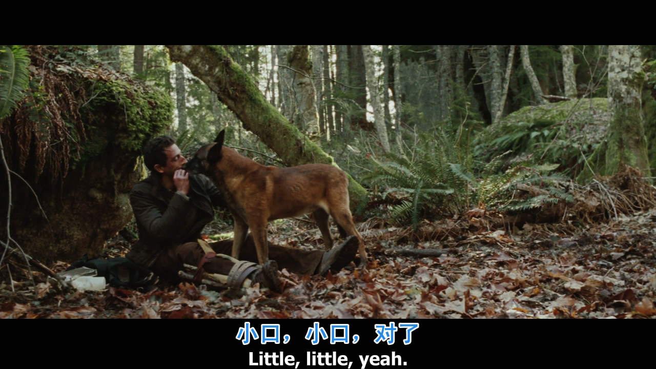  p>《失事》是由迈克尔·格林斯潘担任执导,阿德里安·布洛迪, a