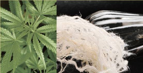  p>孙吴汉麻,黑龙江省黑河市 a target="_blank" href="/item/孙吴县