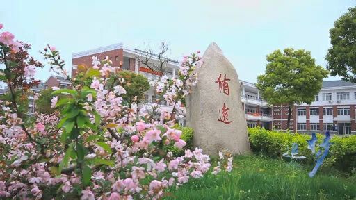 安庆外国语学校