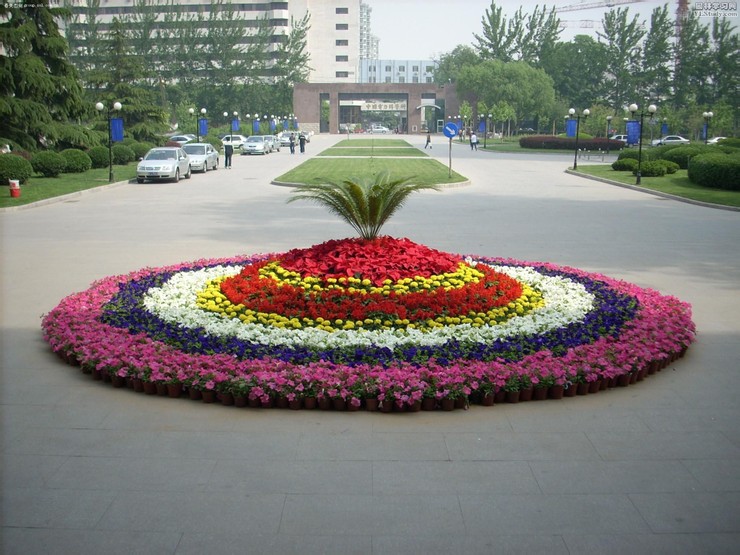  p data-id="gn7g2zbujn">草花花坛就是用草花经艺术组合种植的 a