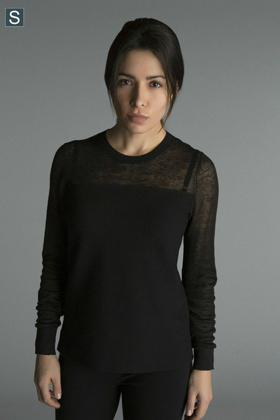 疑犯追踪第四季