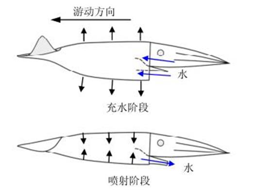 喷射推进器