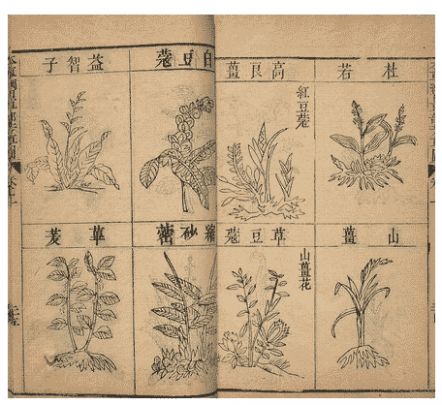 本草纲目