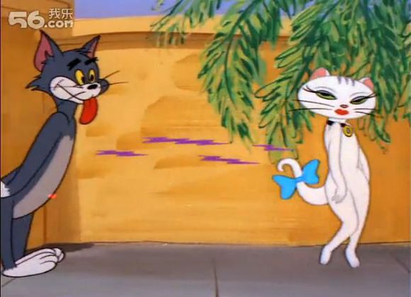 忧郁的猫