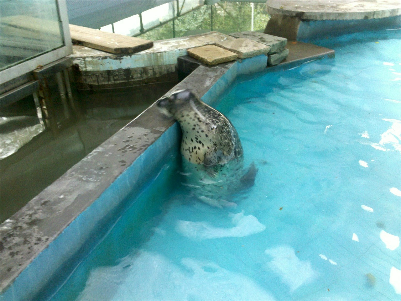  p data-id="gnyutzzyey">温州动物园位于风景秀丽的景山公园莲花芯