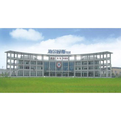 南京海尔曼斯集团有限公司