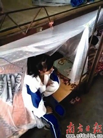 校园殴打门