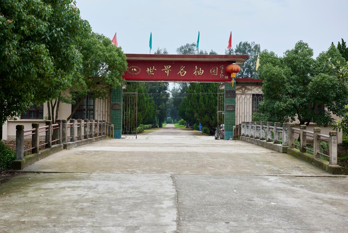  p>玉环柚,浙江省 a href="#" data-lemmaid="20611673">玉环市 /a>
